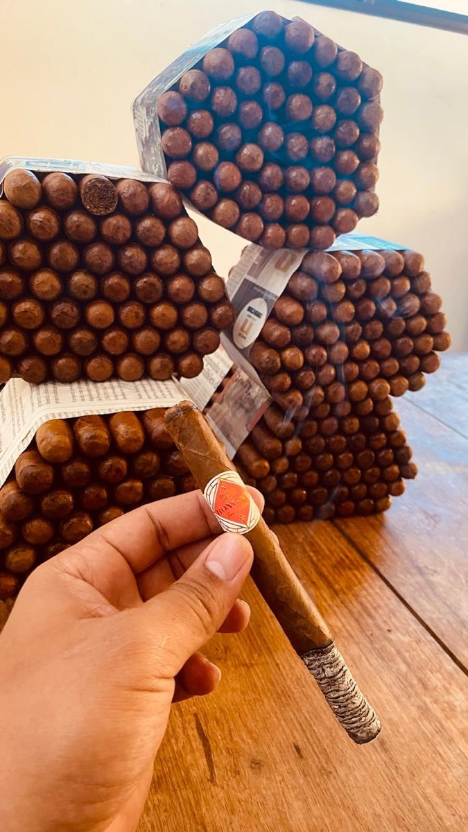 Bongani Lancero Bundle of 25