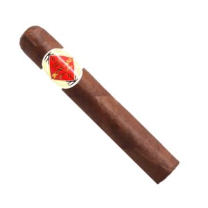 Bongani Robusto