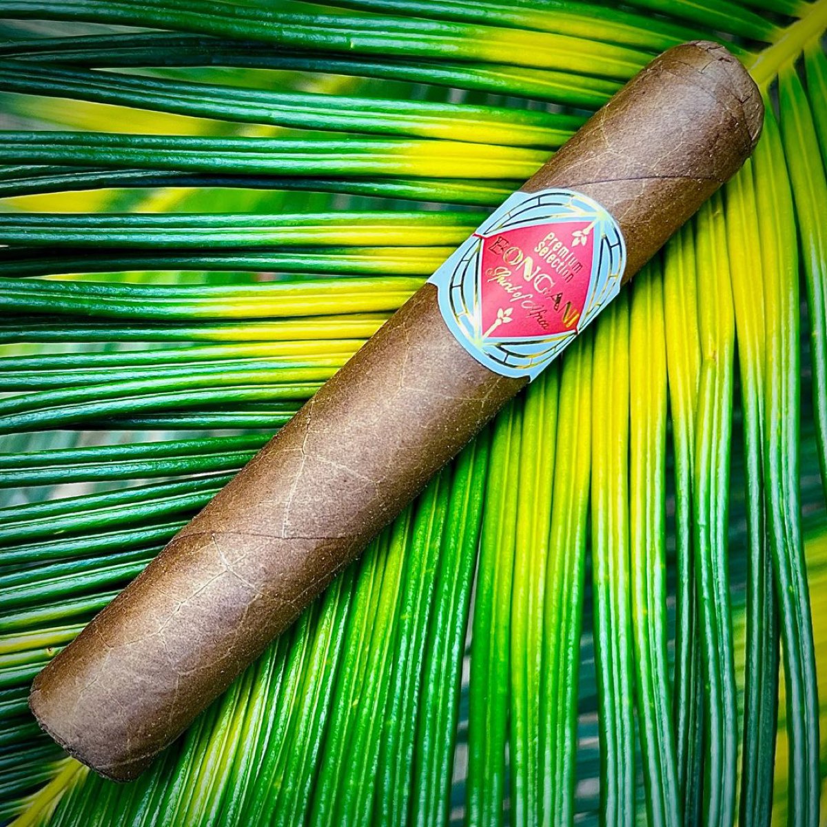 Discovery Sampler, 3 Cigar Sizes