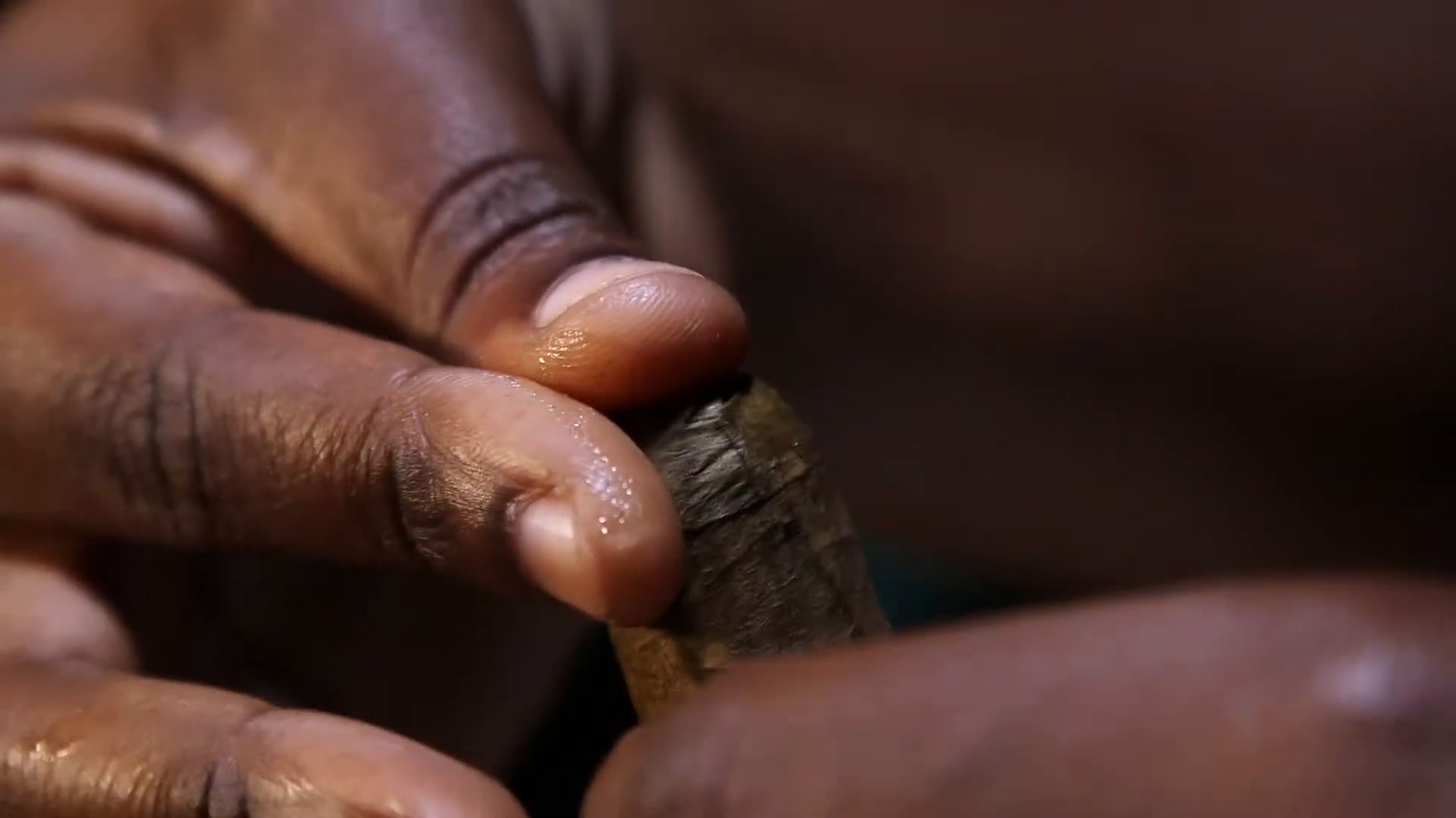 Hands rolling a Bongani cigar