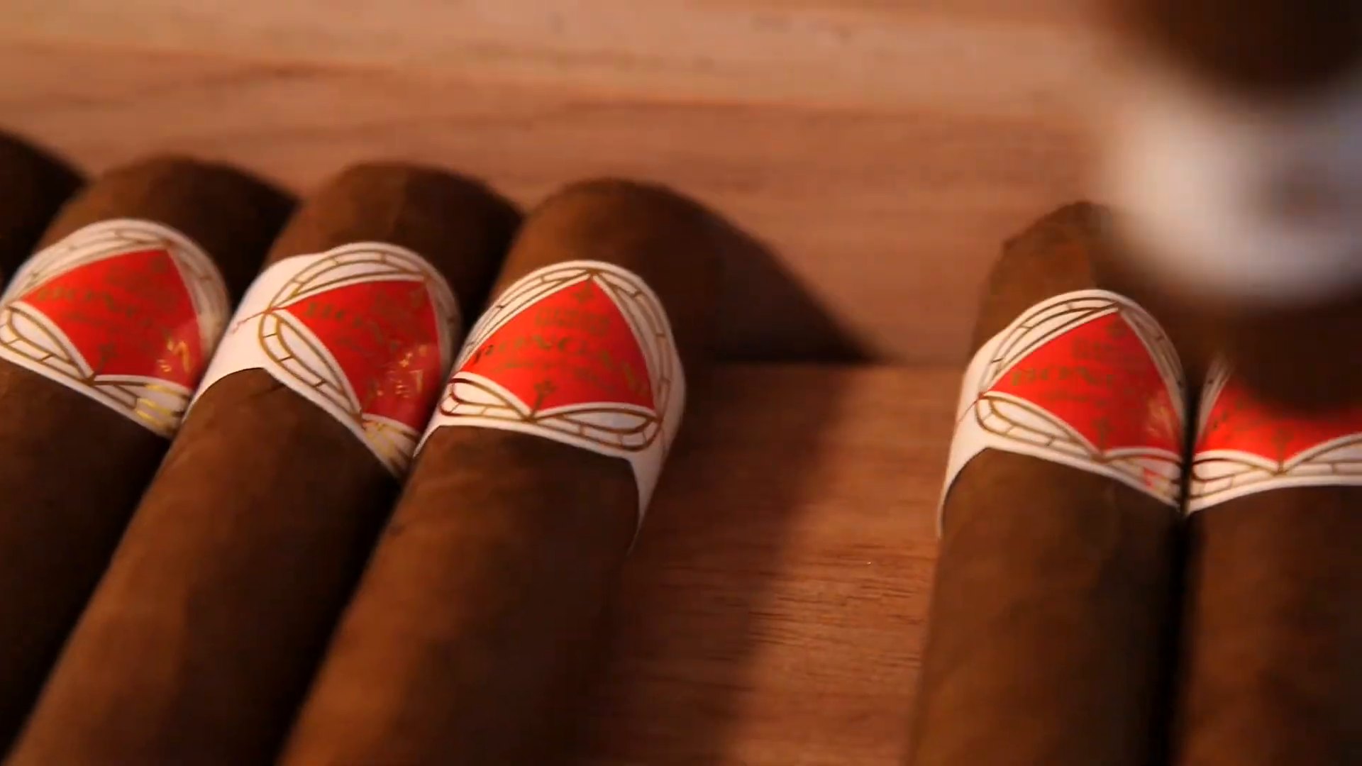 Bongani cigars resting in a row